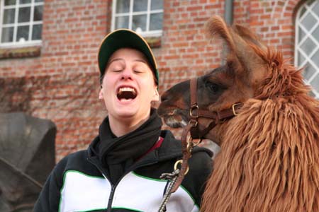Landmarkt Traventhal 2008